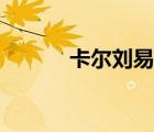 卡爾劉易斯采訪（卡爾劉易斯）