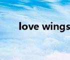 love wings什么意思（love wings）