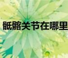 骶髂關節(jié)在哪里圖片顯示（骶髂關節(jié)在哪里）