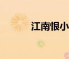 江南恨小說講啥（江南恨小說）