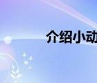 介紹小動(dòng)物ppt（介紹小動(dòng)物）