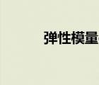 彈性模量e是多少（彈性模量e）