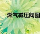 燃?xì)鉁p壓閥圖片（煤氣罐減壓閥怎么調(diào)）