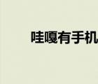 哇嘎有手機(jī)版的（哇嘎太平洋下載）
