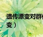 遺傳漂變對(duì)群體遺傳平衡有何影響?（遺傳漂變）