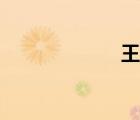 王灣簡介（王灣）