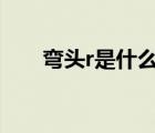 彎頭r是什么意思（tour是什么意思）