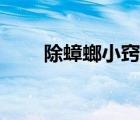 除蟑螂小竅門視頻（除蟑螂小竅門）