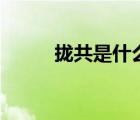 攏共是什么意思（lg是什么意思）