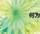 何為乘數(shù)（乘數(shù)概念）