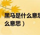 黑馬是什么意思為什么說他是黑馬（黑馬是什么意思）