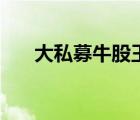 大私募牛股王怎么樣（大私募牛股王）