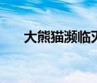 大熊貓瀕臨滅絕（大熊貓滅絕有影響）