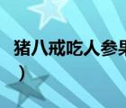 豬八戒吃人參果俗語（豬八戒吃人參果歇后語）