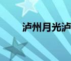 瀘州月光瀘州是哪（瀘州月光歌詞）