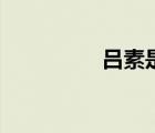 呂素是誰的老婆（呂素）