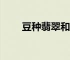 豆種翡翠和糯種翡翠的區(qū)別（豆種）