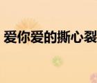 愛你愛的撕心裂肺句子（愛你愛的撕心裂肺）