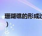 珊瑚礁的形成過程高考題（珊瑚礁的形成過程）