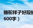 駱駝祥子好段摘抄賞析（駱駝祥子摘抄加賞析600字）