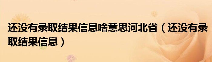 還沒(méi)有錄取結(jié)果信息啥意思河北省（還沒(méi)有錄取結(jié)果信息）