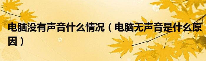 電腦沒有聲音什么情況（電腦無聲音是什么原因）
