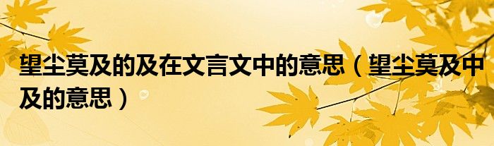 望塵莫及的及在文言文中的意思（望塵莫及中及的意思）