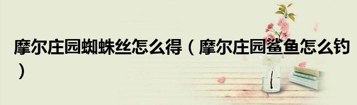 摩爾莊園蜘蛛絲怎么得（摩爾莊園鯊魚怎么釣）