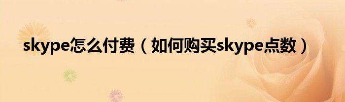 skype怎么付費(fèi)（如何購買skype點(diǎn)數(shù)）