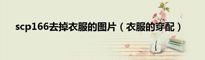 scp166去掉衣服的圖片（衣服的穿配）