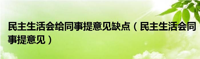 民主生活會(huì)給同事提意見(jiàn)缺點(diǎn)（民主生活會(huì)同事提意見(jiàn)）
