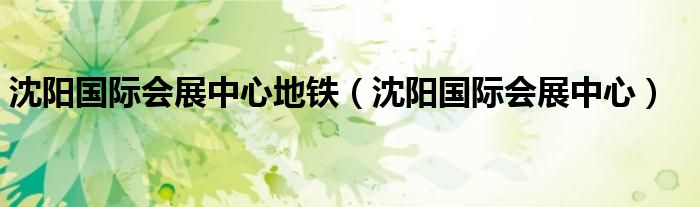 沈陽國際會展中心地鐵（沈陽國際會展中心）