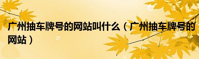 廣州抽車牌號(hào)的網(wǎng)站叫什么（廣州抽車牌號(hào)的網(wǎng)站）
