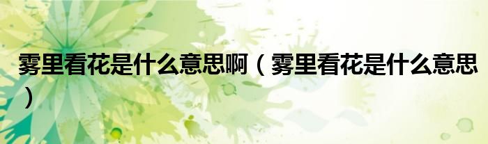 霧里看花是什么意思?。F里看花是什么意思）