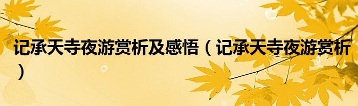 記承天寺夜游賞析及感悟（記承天寺夜游賞析）