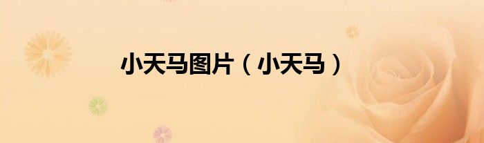 小天馬圖片（小天馬）