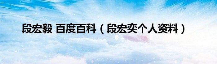 段宏毅 百度百科（段宏奕個(gè)人資料）