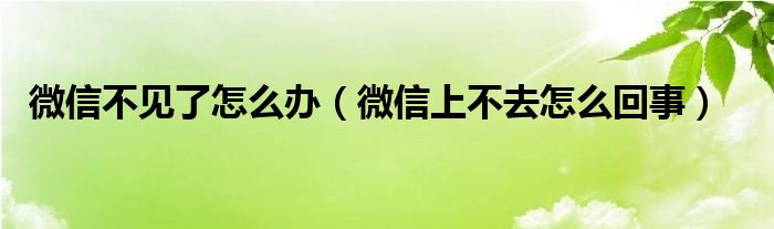 微信不見了怎么辦（微信上不去怎么回事）
