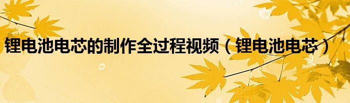 鋰電池電芯的制作全過(guò)程視頻（鋰電池電芯）