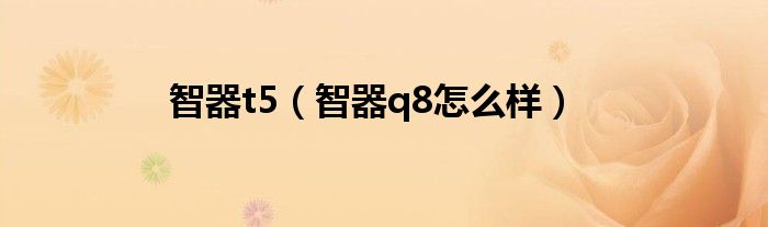 智器t5（智器q8怎么樣）