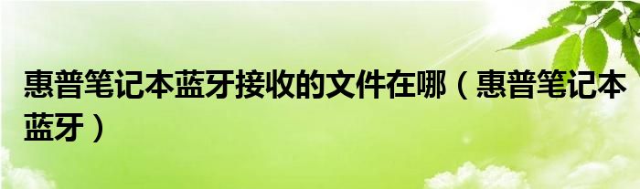 惠普筆記本藍(lán)牙接收的文件在哪（惠普筆記本藍(lán)牙）