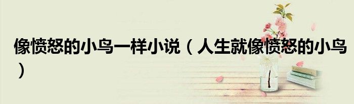 像憤怒的小鳥(niǎo)一樣小說(shuō)（人生就像憤怒的小鳥(niǎo)）