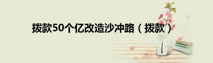 撥款50個(gè)億改造沙沖路（撥款）