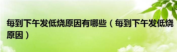 每到下午發(fā)低燒原因有哪些（每到下午發(fā)低燒原因）