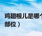 雞翅根兒是哪個部位的（翅根是雞身上的哪個部位）