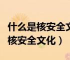 什么是核安全文化的倡導(dǎo)者和培養(yǎng)者（什么是核安全文化）