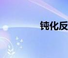 鈍化反應(yīng)是指（鈍化反應(yīng)）