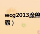 wcg2013魔獸爭霸半決賽（wcg2013魔獸爭霸）