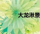 大龍湫景區(qū)簡介（大龍湫袁枚）