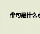 俳句是什么意思怎么讀（俳句是什么）